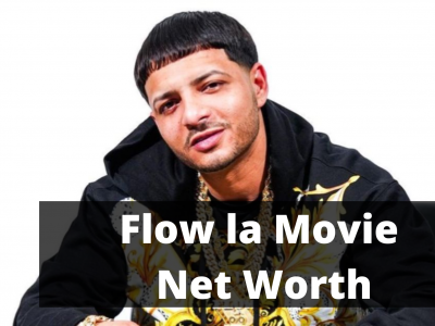 Flow la Movie Net Worth